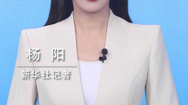 企业搜索数据库索引硬件配置：关键因素与优化策略**